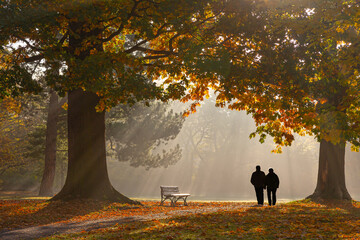 Parkromantik