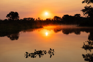 Colourful Sunrise over the Pantanal river in Brazil