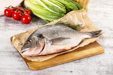Raw dorada fish served rosemary