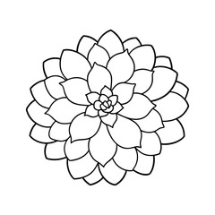 Zinnia Flower Vector Line Art Design