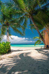 Beautiful tropical beach with scenery palm tree, crystal clear ocean on nature background