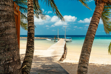 Beautiful tropical beach with scenery palm tree, crystal clear ocean on nature background