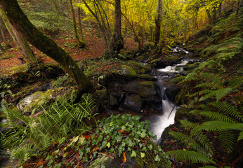 Corner of thinking. This is one of those places that, with very little and in autumn, makes you...