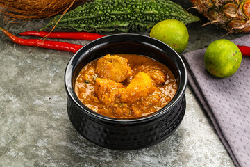 Indian cuisine - spicy chicken curry