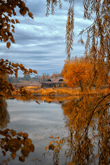 Obraz premium autumn in the park