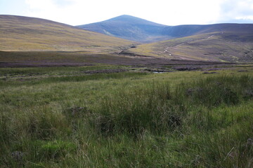 Hiking trail to Mount Keen from  Glen Tanar - Aberdeenshire - Scotland - UK
