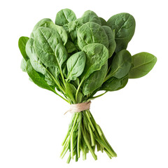 a bunch of spinach white background