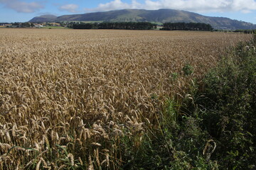Loch Leven Heritage Trail - Bishop hill - Kinross - Perthshire - Scotland - UK