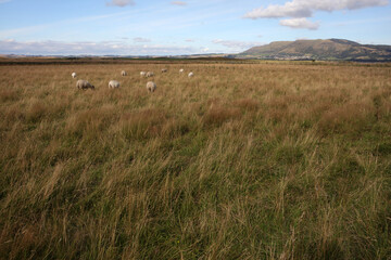 Loch Leven Heritage Trail - Bishop hill - Kinross - Perthshire - Scotland - UK