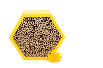 Bee house hexagonal shape for conservation and protection with honey bees dandelion flower. Eco...