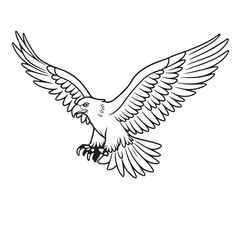 Eagle line art vector on white background