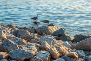 Fototapeta premium Porto Marie beach - white sand Beach with blue sky and crystal clear blue water in Curacao, Netherlands Antilles, a Caribbean Island. Beautiful simple AI generated image