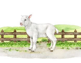 Fototapeta premium Cute lamb standing against wooden fence in a pasture. Hand drawn sheep vintage style realistic illustration. Perfect for farm themed designs, baby products and countryside inspired projects