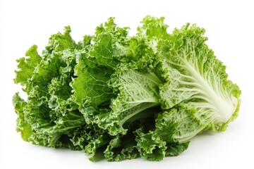 Fresh and vibrant lettuce showcasing its crisp texture against a white background