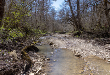 the source of the river in the wild, a walk along the riverbed with an overview of the river canyon and the shallow riverbed