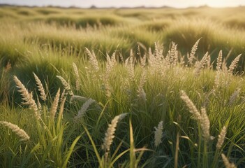 A field of blady grass with a subtle gradient effect creates a calming abstract background, gradient effect, blady grass, calming scene