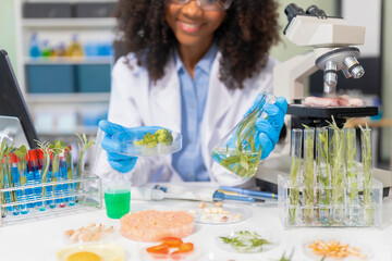 Microbiologist Working on Molecule Samples in Modern Food Science Laboratory, concentration of...