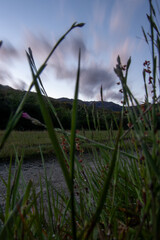 sunset in the grass and mountains, new zealand