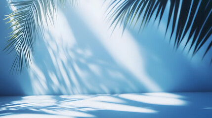 Tranquil Blue Background with Palm Shadows