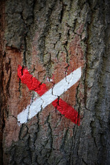 GR sign for dead end - Grande randonnee sign on tree - Forest near Gambaiseuil - Yvelines - France