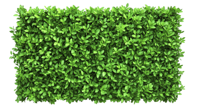 A vibrant green hedge shaped into a geometric design, isolated on isolated background, precise details.