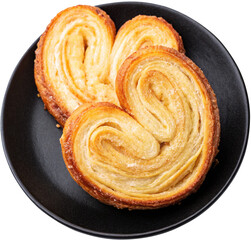 Fototapeta premium palmier also as elephant ears a traditional white background