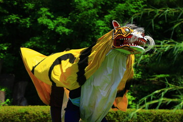 岩手県郷土芸能　虎舞