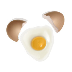 Set of realistic eggs on white background