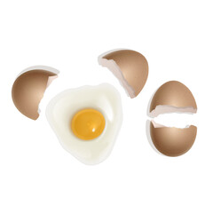 Set of realistic eggs on white background