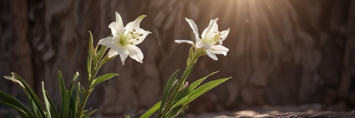 Obraz premium lone tuberose stem stretching towards sunlight, gentle, stem, plant