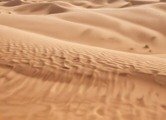 Detailed view of sand dune pattern and color variations, earthy, geological