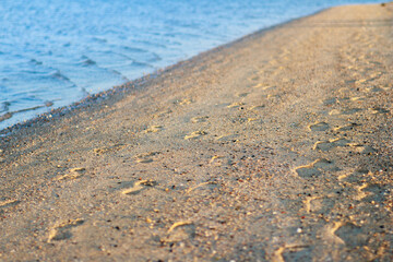 footprints on the sand near the sea