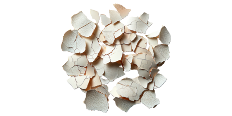 Eggshell fragments scattered isolated on transparent background
