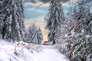 Beautiful winter landscape with lots of snow and blue sky in the Bavarian Forest National Park in Germany