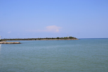 green trees forest landscape photo	