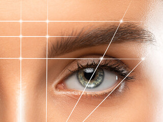 Permanent make-up for eyebrows of beautiful woman in beauty salon. Closeup beautician doing...