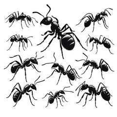 ant vector logo, illustration of a ant vector, silhouette vector black and white
