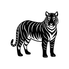 tiger silhouette, black and white silhouette, vector and illustration