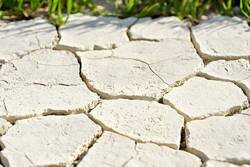 Obraz premium Close-up of cracked, dry, light-colored earth with grass in the background.