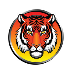 tiger head vector illustration