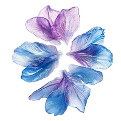 Attractive Frozen flower petals  Isolated On Transparent Background 
