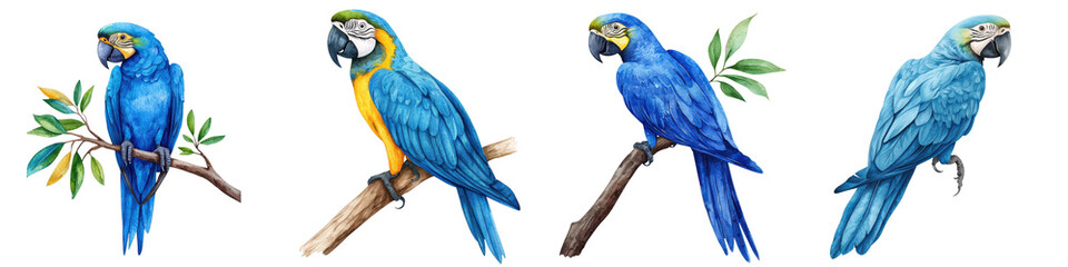 Fototapeta premium Colorful and Vibrant of Blue Macaw Parrots Perched on Tropical Branches and Leaves Detailed Watercolor Style Digital Artwork Showcasing the Beauty of These Exotic Birds in their Natural Habitat