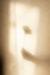 Fototapeta premium flower silhouette