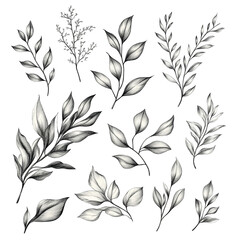 Elegant Monochrome Botanical Illustrations: A Collection of Hand-Drawn Greenery