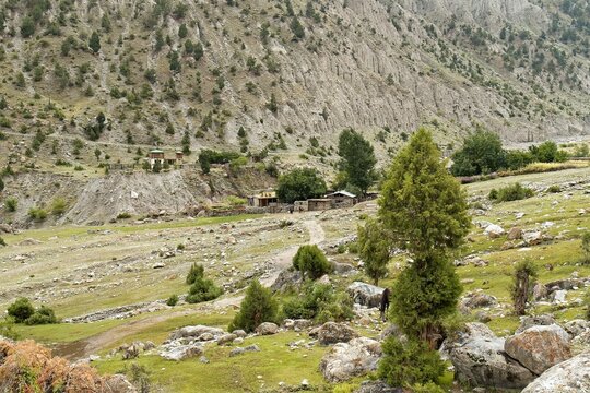 View of Tattu (Tato) village. Starting point of trekking to Fairy Meadows. Himalayan Mountains. Gilgit-Baltistan region. Pakistan. Asia.