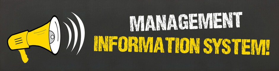 Management Information System! © magele-picture