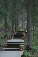 Karelia, Sortavala. Eco-trail Mount Paaso