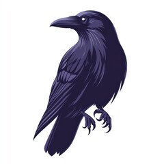 Obraz premium Dark purple raven illustration, perched, side profile, isolated on white.