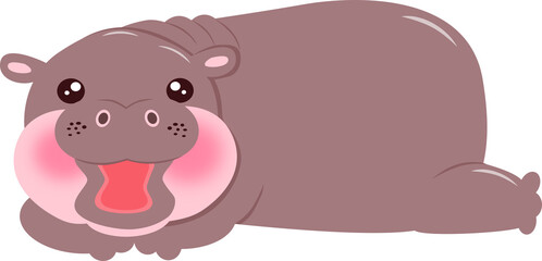 cute Pygmy hippo