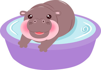 endangered pygmy hippo
